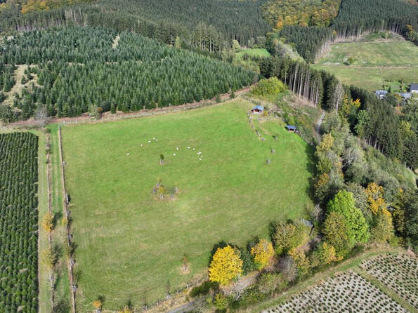 Fachmakler für land-, forst- und pferdewirtschaftliche Immobilien