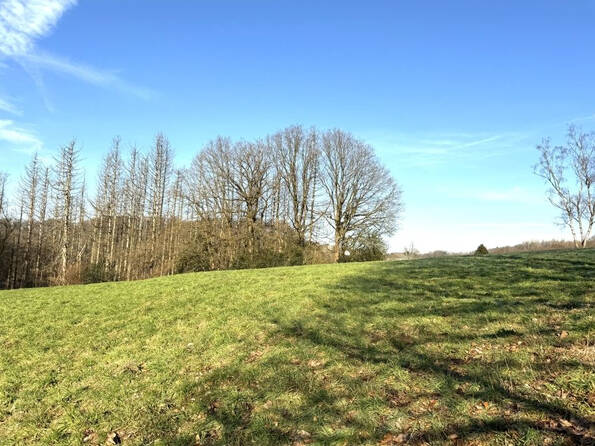 Fachmakler für land-, forst- und pferdewirtschaftliche Immobilien