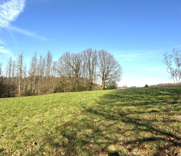 Fachmakler für land-, forst- und pferdewirtschaftliche Immobilien