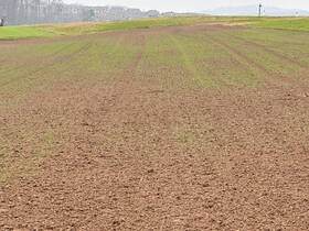 Fachmakler für land-, forst- und pferdewirtschaftliche Immobilien