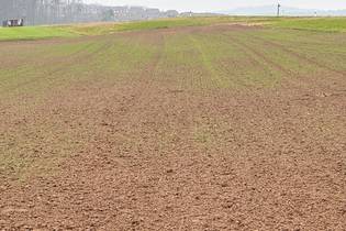 Fachmakler für land-, forst- und pferdewirtschaftliche Immobilien