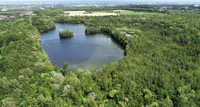 Fachmakler für land-, forst- und pferdewirtschaftliche Immobilien
