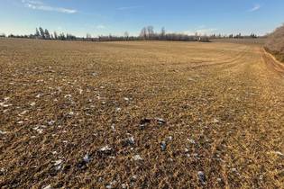 Fachmakler für land-, forst- und pferdewirtschaftliche Immobilien