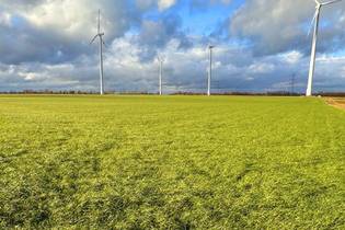 Fachmakler für land-, forst- und pferdewirtschaftliche Immobilien