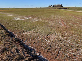 Fachmakler für land-, forst- und pferdewirtschaftliche Immobilien