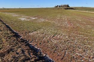 Fachmakler für land-, forst- und pferdewirtschaftliche Immobilien