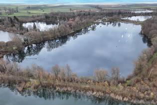 Fachmakler für land-, forst- und pferdewirtschaftliche Immobilien
