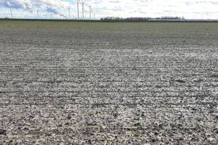 Fachmakler für land-, forst- und pferdewirtschaftliche Immobilien