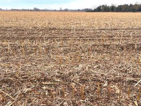 Fachmakler für land-, forst- und pferdewirtschaftliche Immobilien