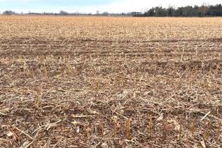 Fachmakler für land-, forst- und pferdewirtschaftliche Immobilien