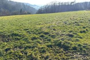 Fachmakler für land-, forst- und pferdewirtschaftliche Immobilien