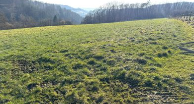 Fachmakler für land-, forst- und pferdewirtschaftliche Immobilien