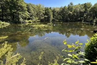 Fachmakler für land-, forst- und pferdewirtschaftliche Immobilien