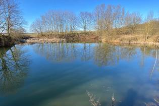Fachmakler für land-, forst- und pferdewirtschaftliche Immobilien