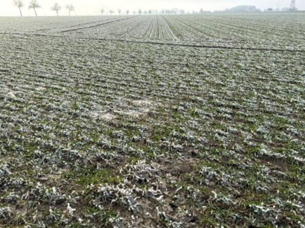 Fachmakler für land-, forst- und pferdewirtschaftliche Immobilien