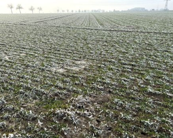 Fachmakler für land-, forst- und pferdewirtschaftliche Immobilien