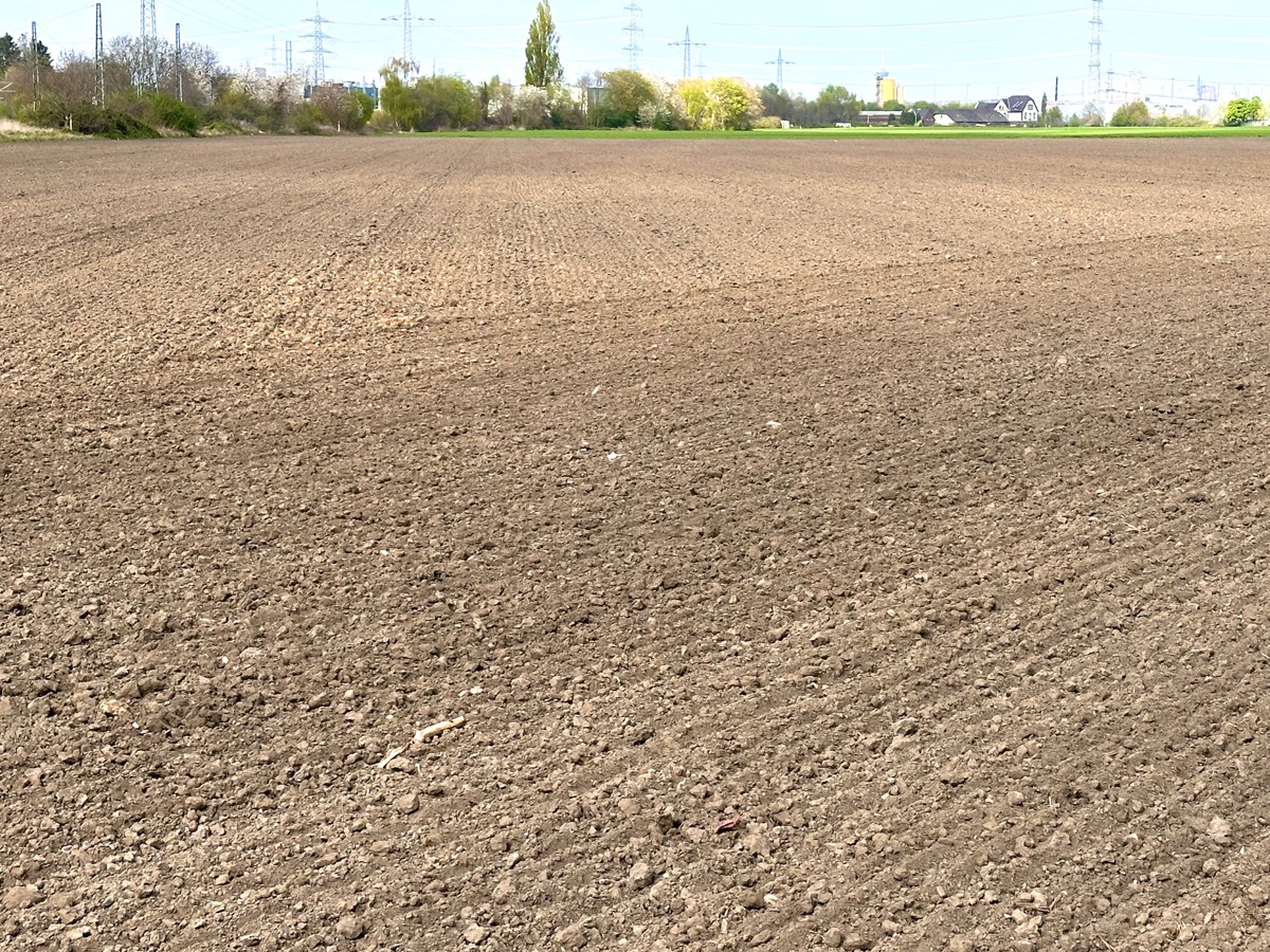 Expected building land