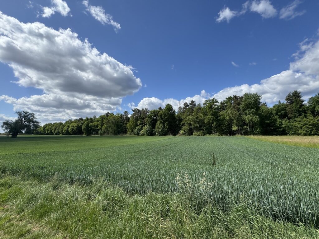Fachmakler für land-, forst- und pferdewirtschaftliche Immobilien