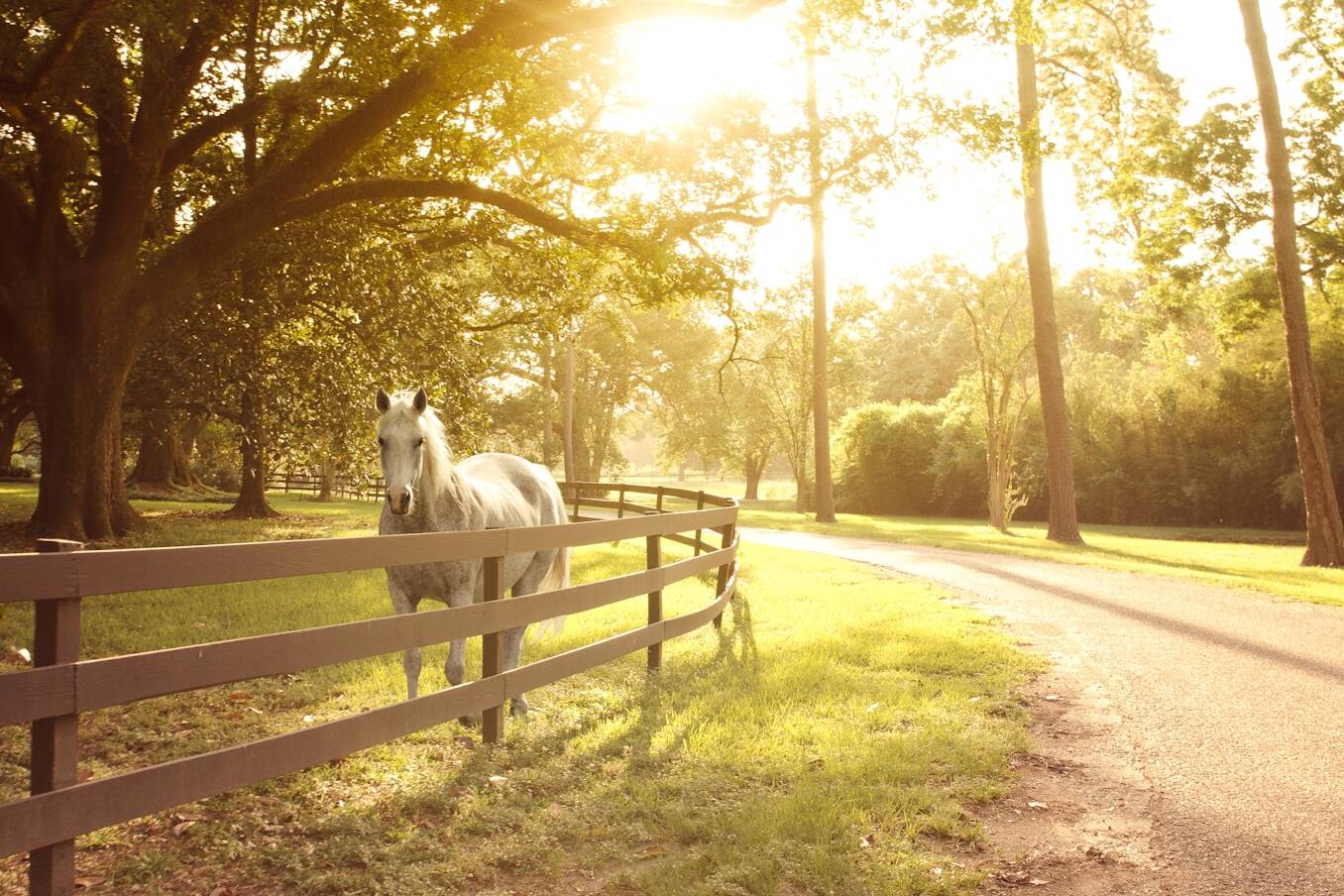 Fachmakler für land-, forst- und pferdewirtschaftliche Immobilien