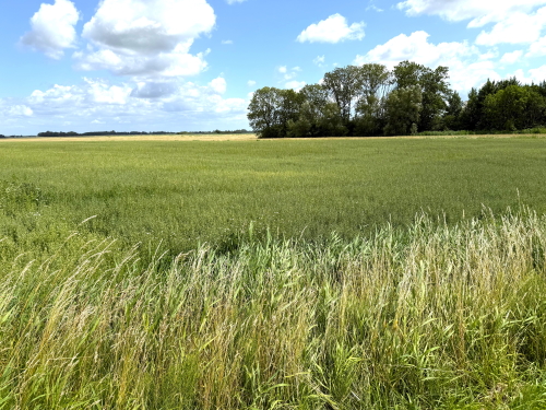 Fachmakler für land-, forst- und pferdewirtschaftliche Immobilien