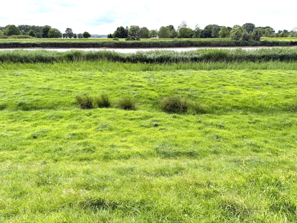 Fachmakler für land-, forst- und pferdewirtschaftliche Immobilien