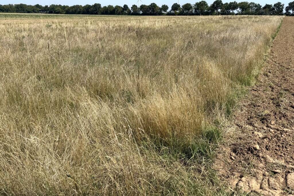 Fachmakler für land-, forst- und pferdewirtschaftliche Immobilien