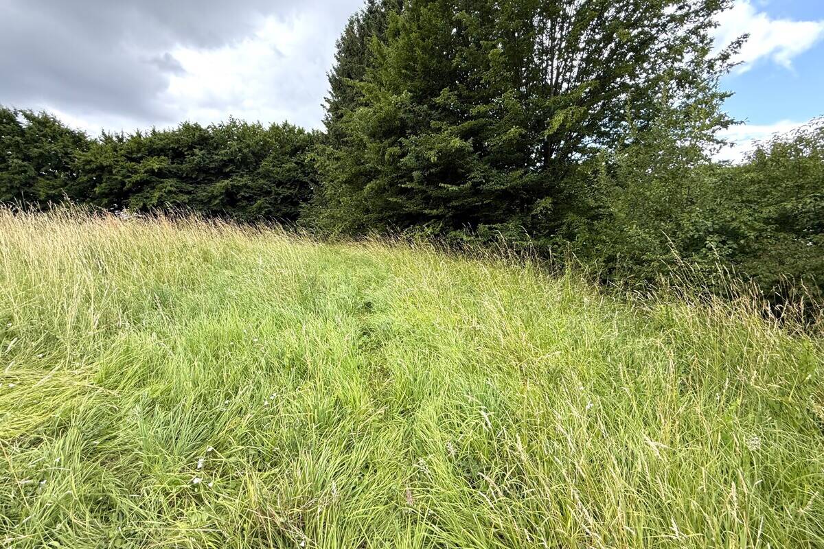 Fachmakler für land-, forst- und pferdewirtschaftliche Immobilien