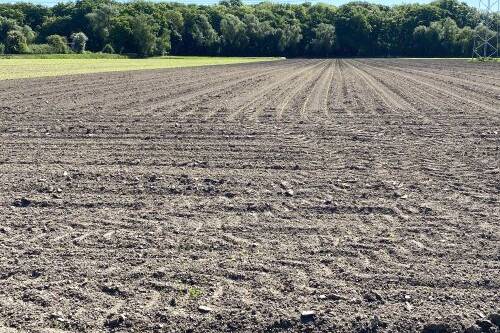 Fachmakler für land-, forst- und pferdewirtschaftliche Immobilien