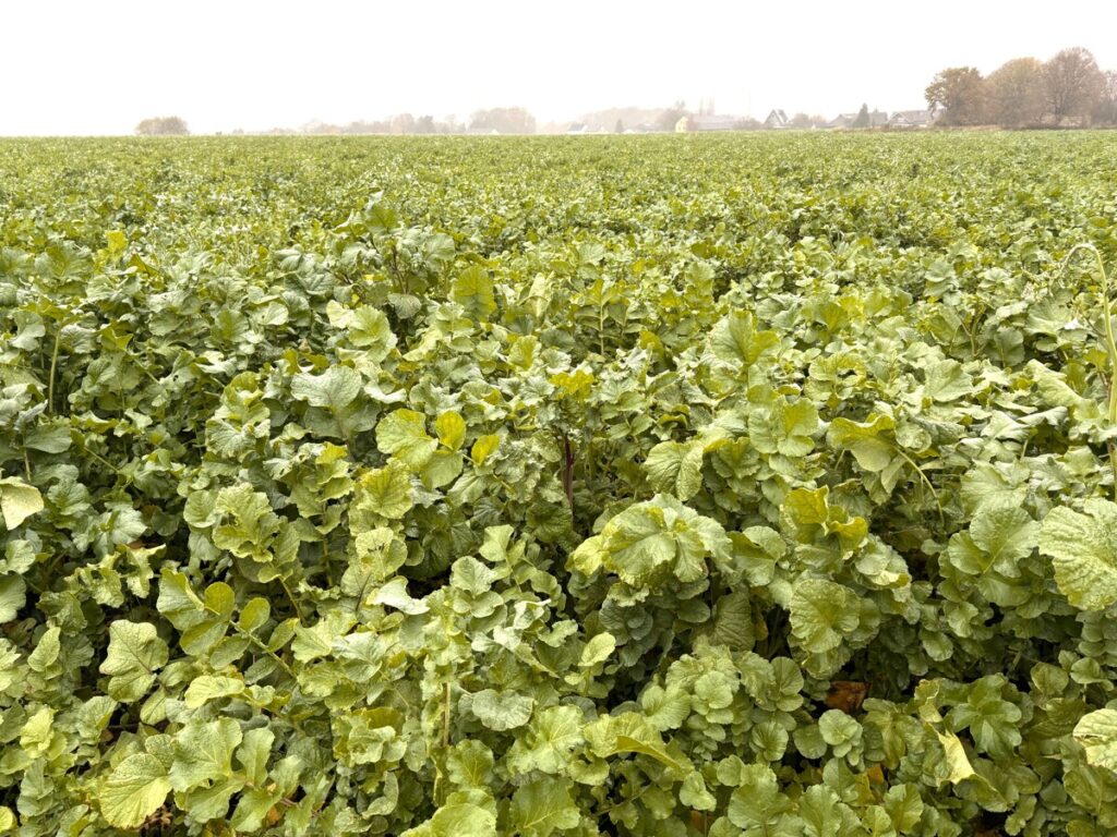 Foto der Immobilie (150595)