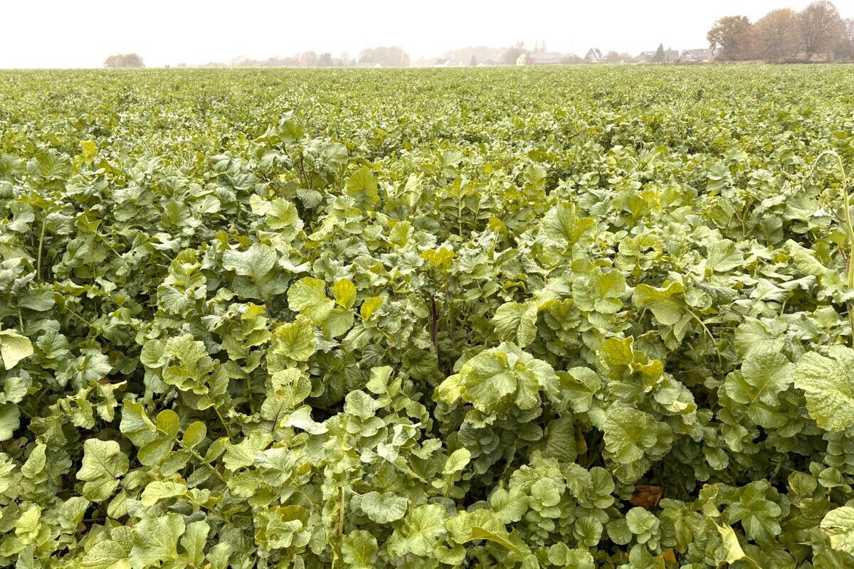 Fachmakler für land-, forst- und pferdewirtschaftliche Immobilien