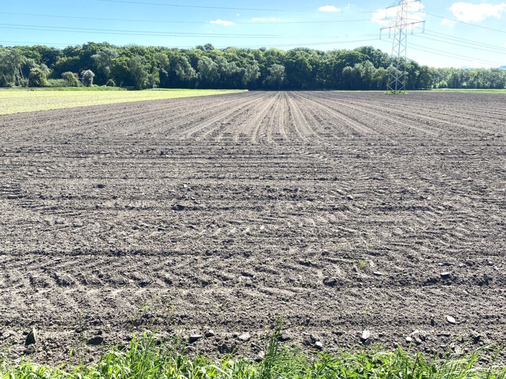 Foto der Immobilie (150471)