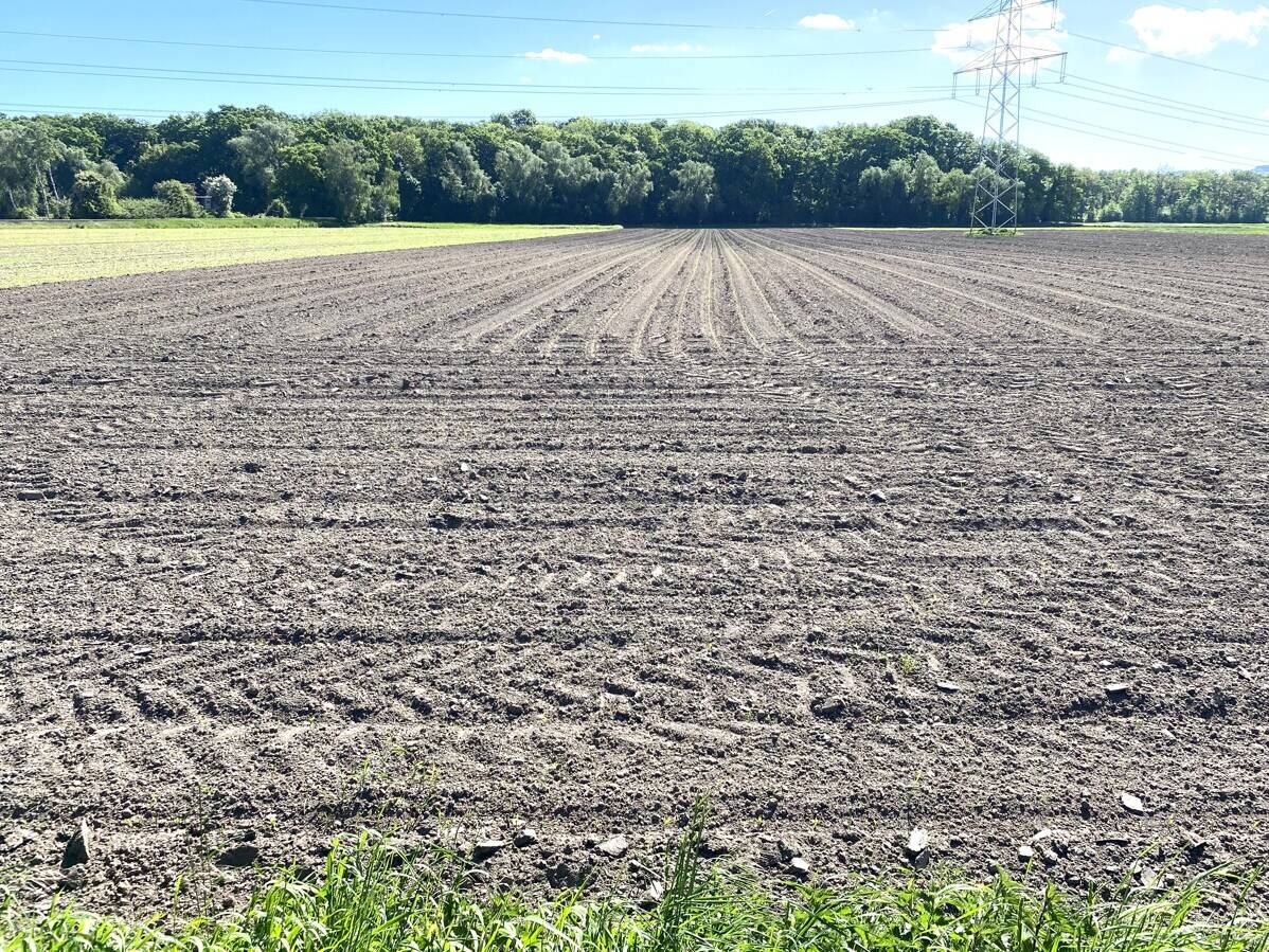 Fachmakler für land-, forst- und pferdewirtschaftliche Immobilien