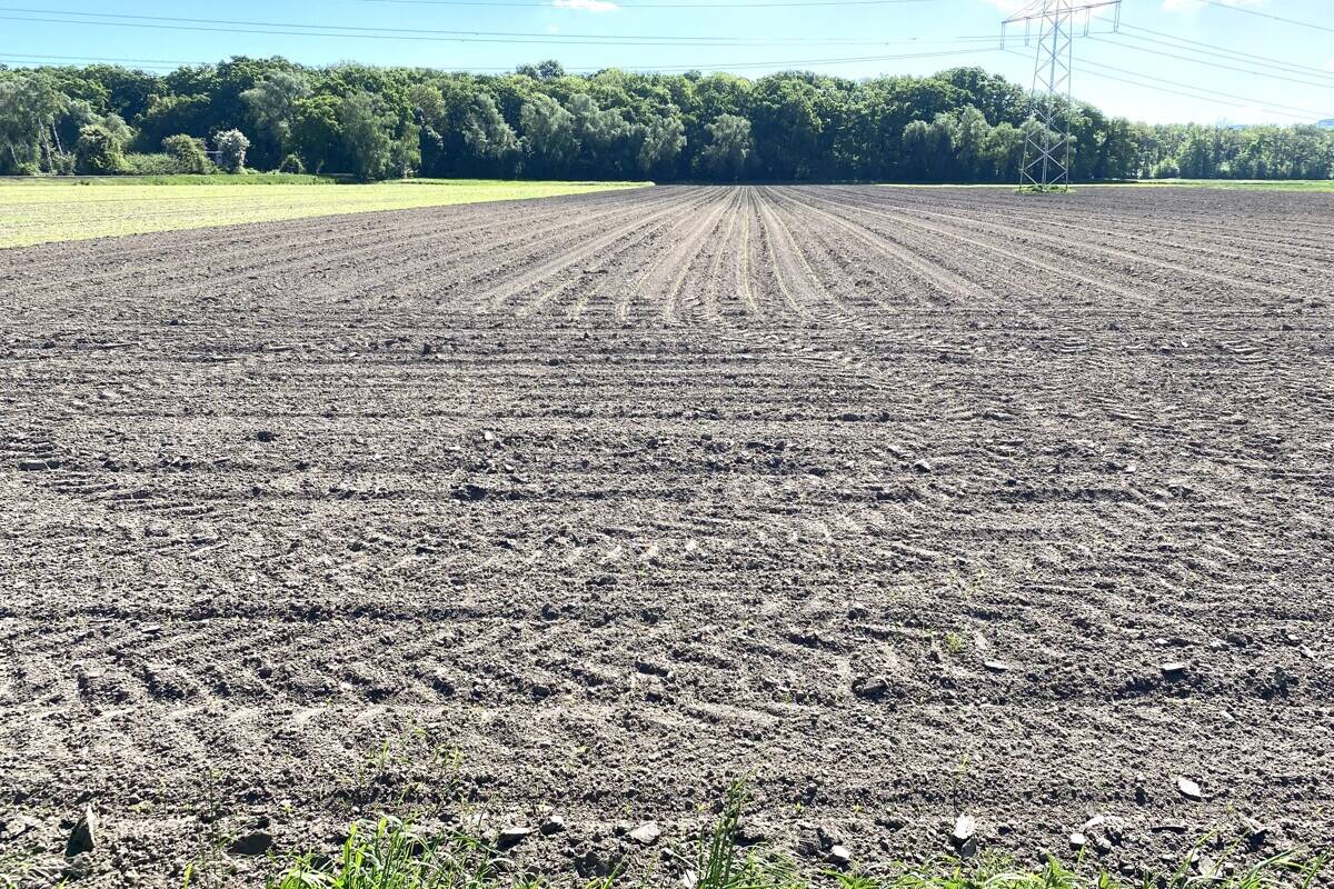 Fachmakler für land-, forst- und pferdewirtschaftliche Immobilien