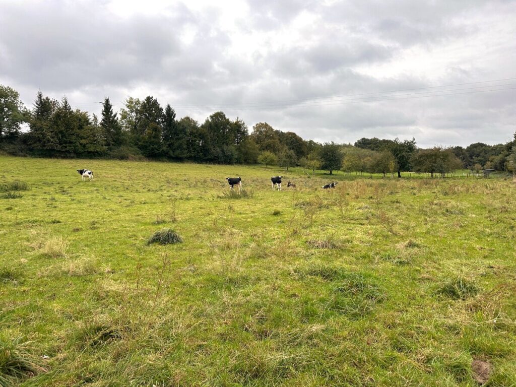 Foto der Immobilie (150548)