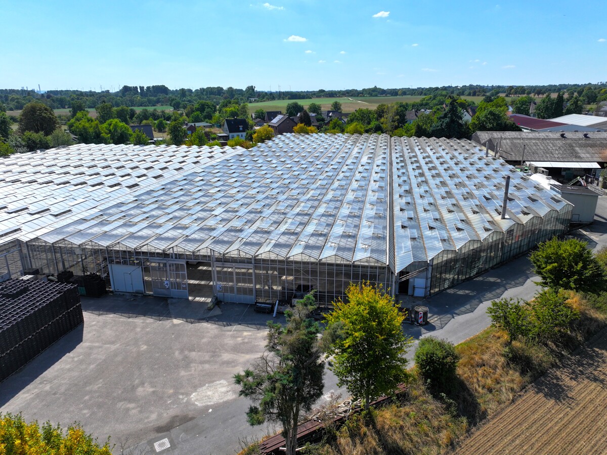Gewächshäuser Vogelperspektive