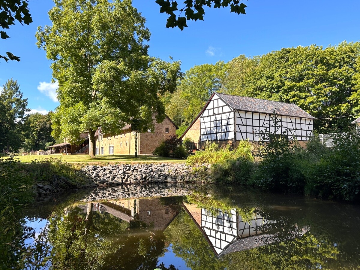 Blick über den Fischteich