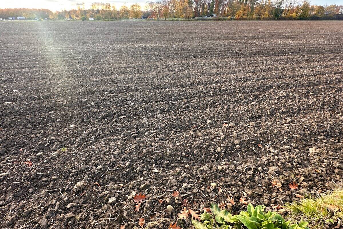 Ackerfläche Erftstadt