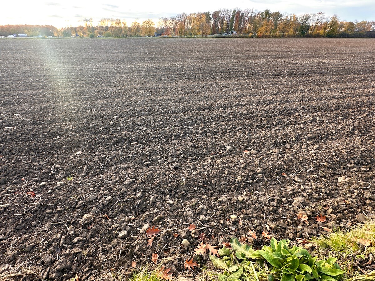 Ackerfläche Erftstadt