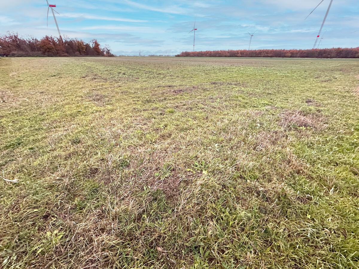 Ackerfläche (Verkaufseinheit 2)