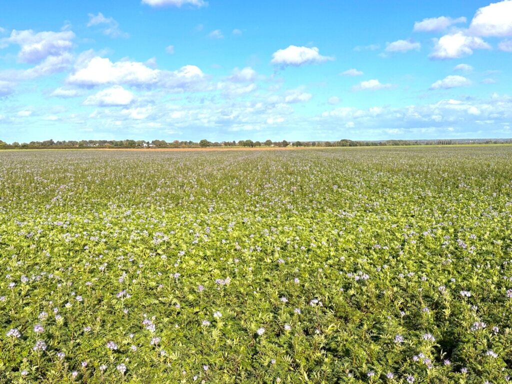 Foto der Immobilie (150689)