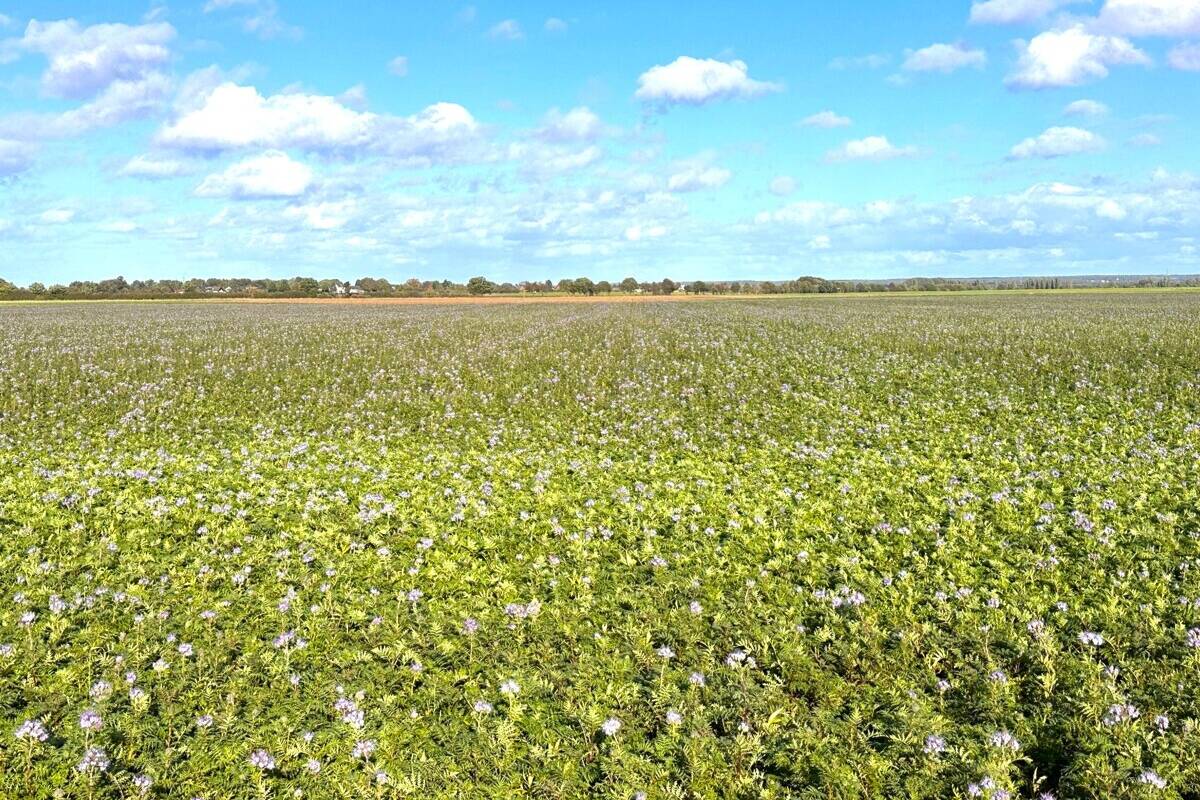 Fachmakler für land-, forst- und pferdewirtschaftliche Immobilien