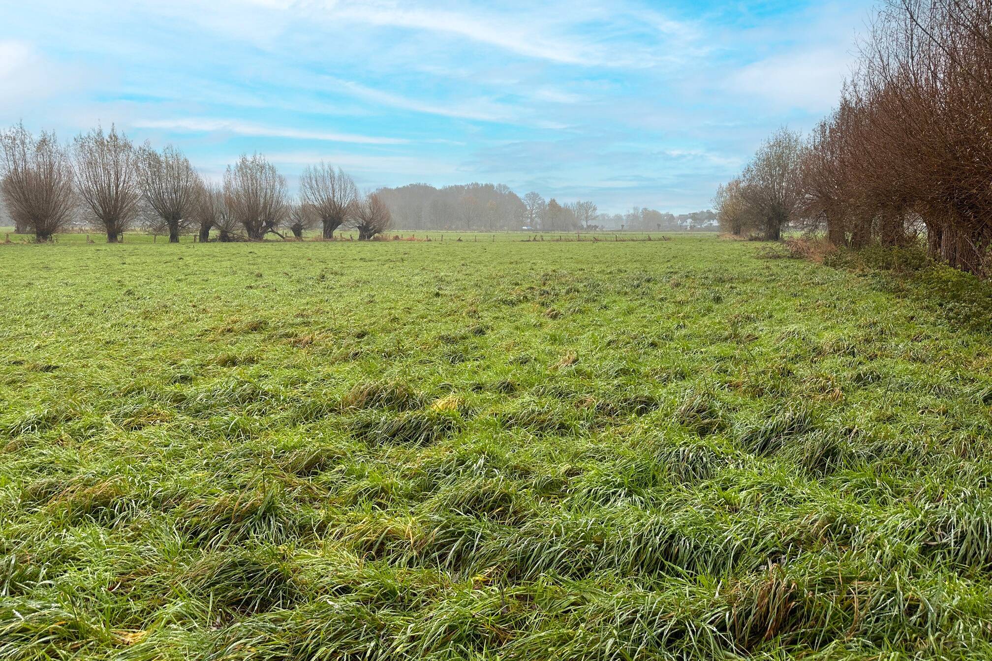 Fachmakler für land-, forst- und pferdewirtschaftliche Immobilien