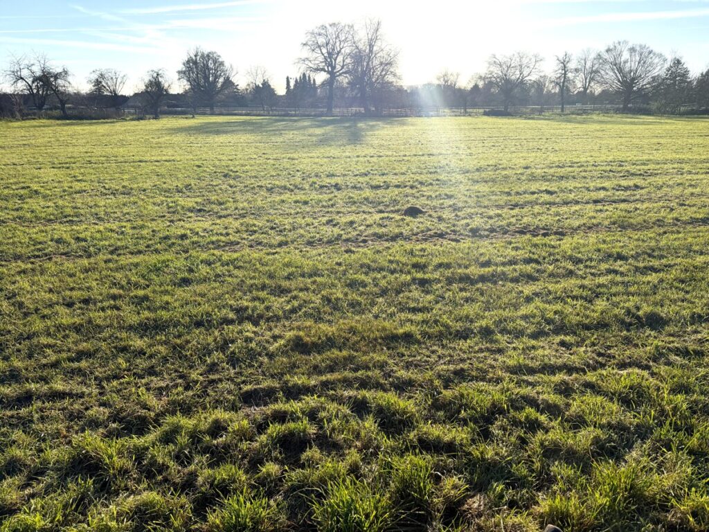 Foto der Immobilie (150709)