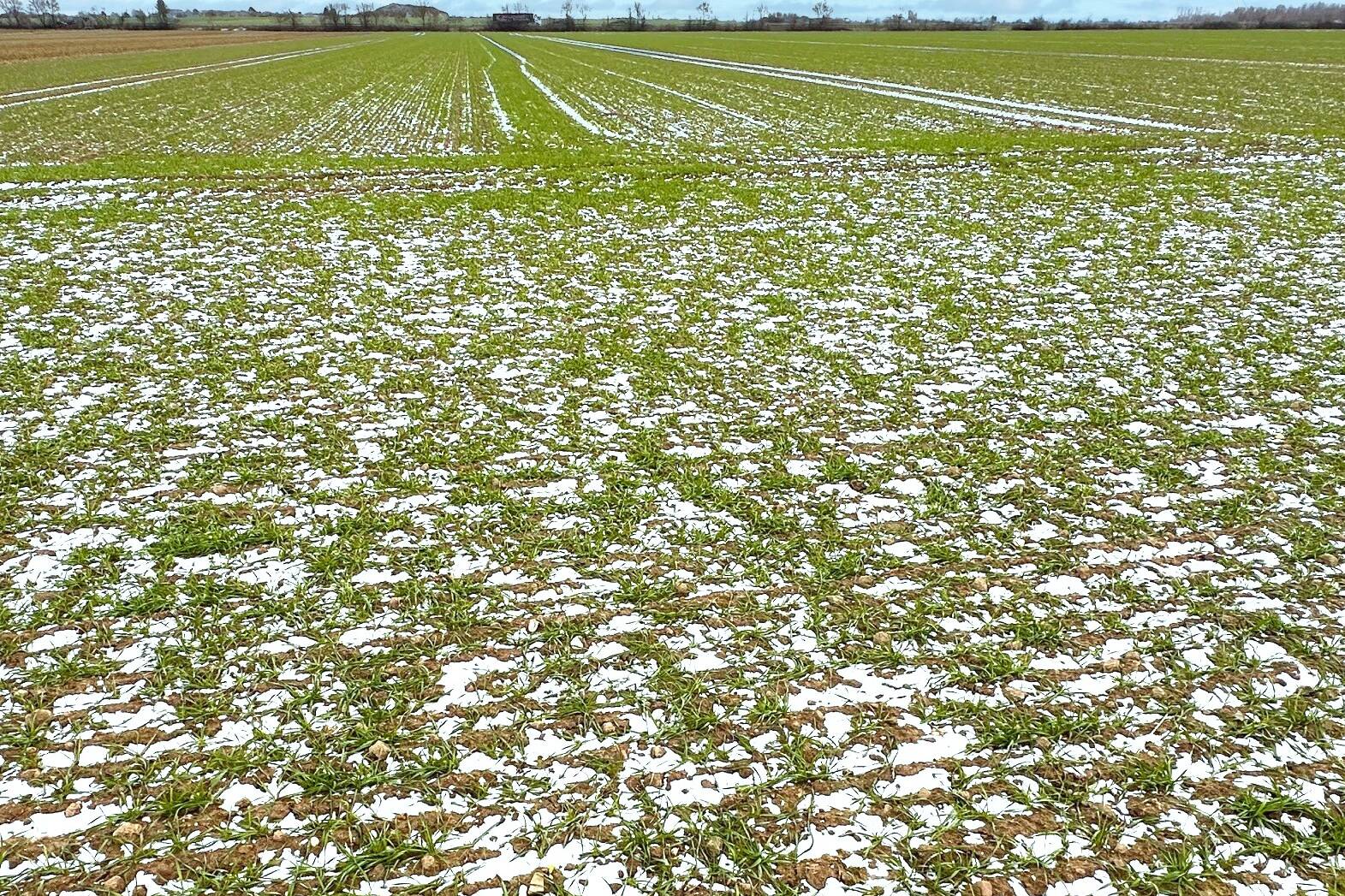 Fachmakler für land-, forst- und pferdewirtschaftliche Immobilien
