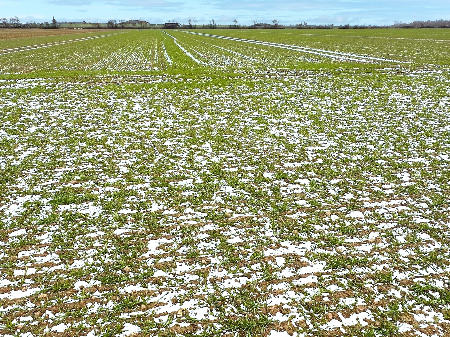 Fachmakler für land-, forst- und pferdewirtschaftliche Immobilien