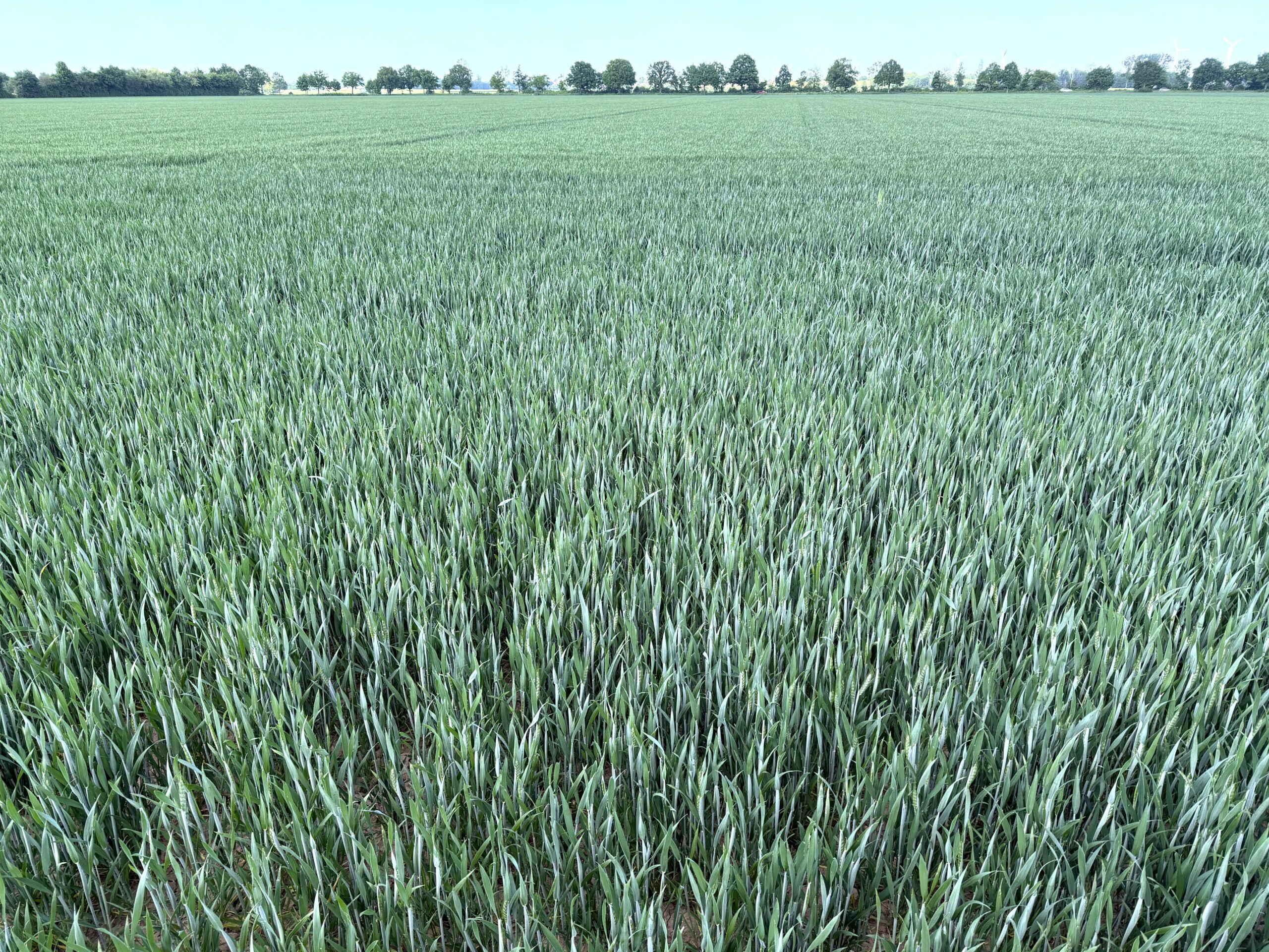 Fachmakler f&uuml;r land-, forst- und pferdewirtschaftliche Immobilien