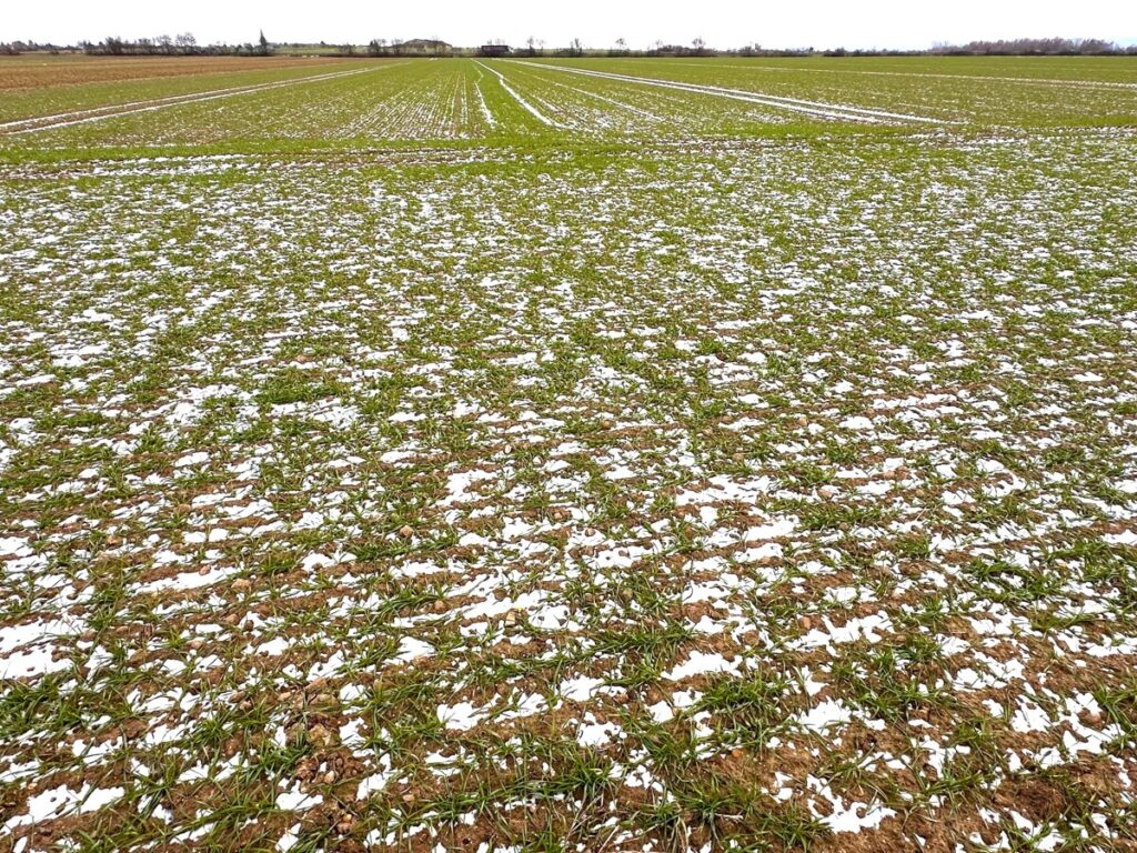 Foto der Immobilie (150770)