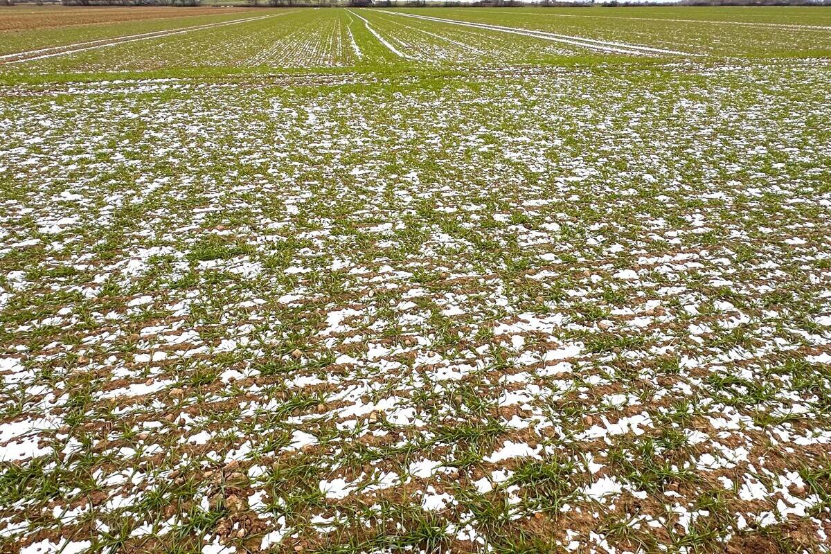 Fachmakler für land-, forst- und pferdewirtschaftliche Immobilien