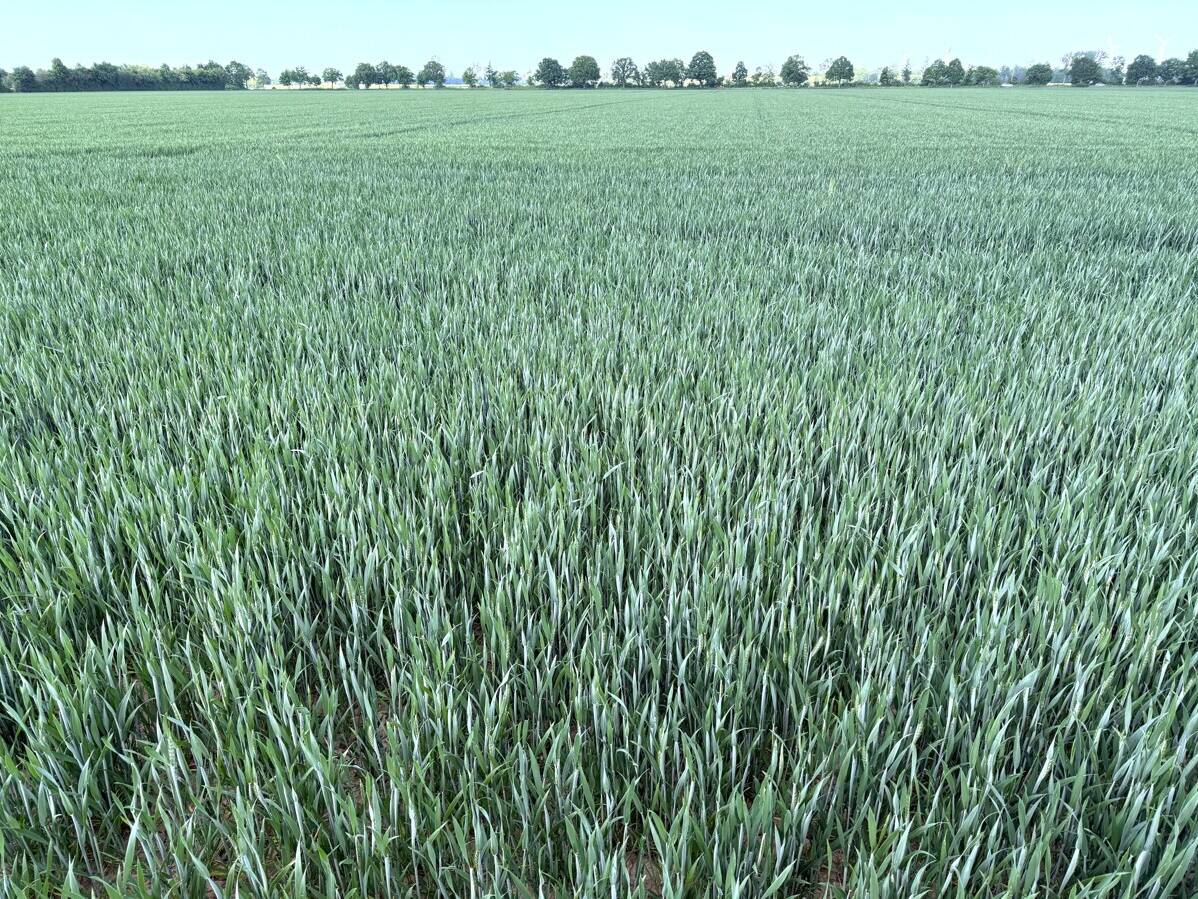 Fachmakler für land-, forst- und pferdewirtschaftliche Immobilien