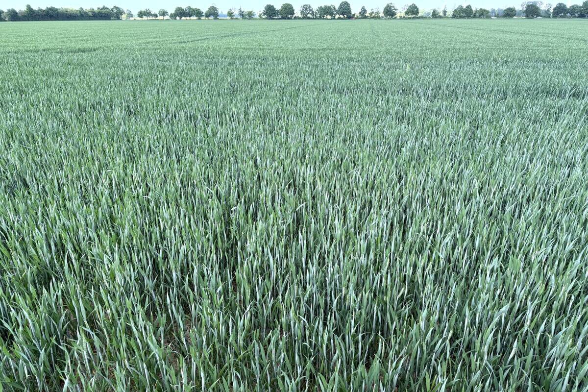 Fachmakler für land-, forst- und pferdewirtschaftliche Immobilien